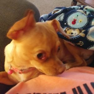 Meet your Posher, Lori